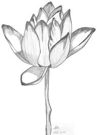 Zeichentechnik Wie Schattiere Ich Meine Bilder Richtig Mit Bleistift Zeichentechniken Zeichnungen Blumenzeichnung