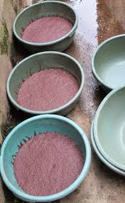 Cacing sutra ialah cacing kecil seukuran rambut berwarna kemerahan dengan panjang sekitar 1 sd 3 cm, dengan tubuh berwarna merah kecoklatan dengan ruas ruas, hidup dengan membentuk koloni di perairan jernih yang kaya bahan organik. Cara Budidaya Cacing Sutra Praktis Dan Menguntungkan Sipendik