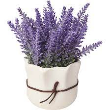 Check spelling or type a new query. One Allium Way Artificial Lavender Floral Arrangements In Pot Reviews Wayfair