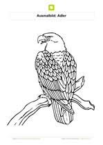 Stilleben zeichnen vögel zeichnen tiere zeichnen stifte zum zeichnen vogel vorlage herbst ausmalvorlagen vogel malvorlagen bastelvorlagen zum ausdrucken vogel malen. Ausmalbilder Vogel Kostenlose Ausmalbilder