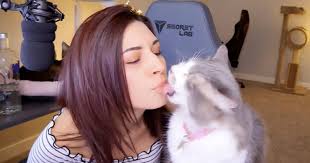 But how do you say sorry to a cat? Alinity Gives Apology For Throwing Cat During Stream Session