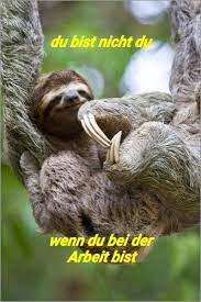 Lustig Witzig Spruche Bild Bilder Arbeit Faultier Du Bist Nicht Du Wenn Du Arbeitest Lustig Faultier Lustiges Faultier Tiere