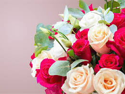 With a large variety of fresh flowers to choose from, we can help you plan and gift for any special occasion. Blumen Debus Blumenladen Gartnerei