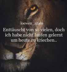 Ein Lowe Interessiert Sich Nicht Was Schafe Uber Sie Denken Home Facebook