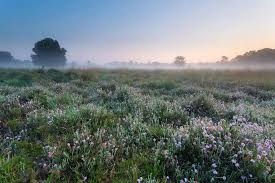 Foto Er Gaat Niets Boven Groningen Ter Borg Groningen Natuur Nederland