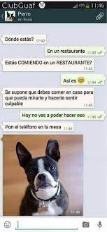 Jajajajaja Whatsapp Perro Perros Amor De Perro Fotos De Risa