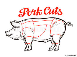 Vector Pork Pig Chart Meat Cuts Butcher Shop Buy This