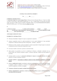 Modul de contabilizare și reflectare în dările de seamă. Https Www Avocat Ludusan Ro Wp Content Uploads 2019 10 Draft Contract Pdf