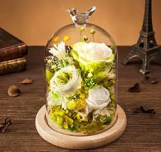 Maybe you would like to learn more about one of these? Wholesale Yunnan Crystal Preserved Rose Flower Gifts For Veterans Day China Crystal Rose Flower Gifts And Yunnan Flower Price Made In China Com