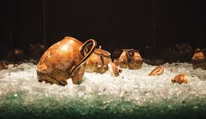 Bildergebnis für Sonia Andrade