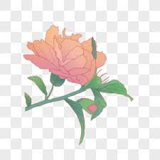 Admin area women craft the flower vendor nikes soccer boots toxic wave onion skin slide avenal. 190000 Bunga Raya Gambar Unduh Gratis My Lovepik Com