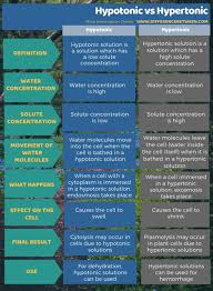 What is the effect of a hypertonic solution on cells. Difference Between Hypotonic And Hypertonic Compare The Difference Between Similar Terms