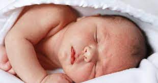 Avoir Un Bébé Lotus : Bonne Ou Mauvaise Idée ? - Magicmaman.com
