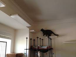 So what you need is screws, plugs, mdf plates, primer, sisal rope, planks, fabric & foam, and shelf carrier to get. Cat Wall Shelves Diy Novocom Top