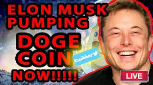 Since the beginning of april, doge has been pumped over 1,150% for no reason other than the words. Doge 2x Soon Elon Musk Pumping Dogecoin Now Price Prediciton And News Youtube