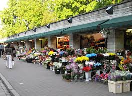 Flower Shops Near Me Flower Shops Near Me Open On Sundays
