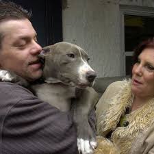 Puppies mutilated, left for dead in Albany given new homes