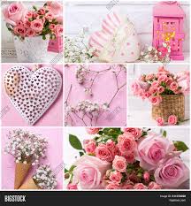 We did not find results for: Collage Set Romantic Image Photo Free Trial Bigstock