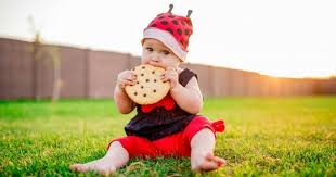 Resep makanan anak 1 tahun yang belum tumbuh gigi · 1. 3 Ide Resep Biskuit Untuk Mendukung Pertumbuhan Gigi Bayi Popmama Com