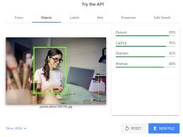 Google Kan Foto S Herkennen En Doet Dat Steeds Beter Doyoucopy
