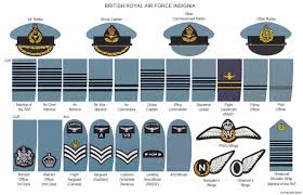 Britanico Royal Air Force Insignia Military Insignia
