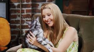 Just click the download button and the gif from the and friends phoebe collection will be downloaded to your. Phoebe From Friends Goes From Flaky Vegetarian To Vegan Instagram Star According To Buzzfeed