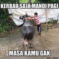 Fungsi gambar, diantaranya merekam suatu objek, sehingga menghasilkan imajinasi secara kreatif. Ini 10 Meme Malas Mandi Yang Kocak Abis Bikin Ngakak