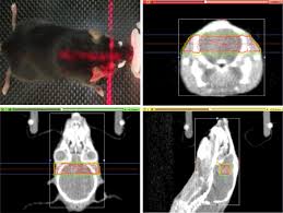 More women are diagnosed with breast cancer than any other type of cancer, besides skin cancer. Radiotherapy In Preclinical Animal Models