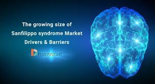 The Growing Size Of Sanfilippo Syndrome Market Drivers And Barriers Marketing Syndrome Clinical Trials