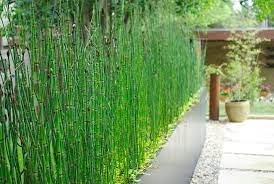 A vertical garden is a great solution for city dwellers who want more space for plants. Modern Privacy Fence Ideas For Your Outdoor Space