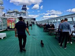 Southampton, england to new york, united states. Are There Any Pet Friendly Cruises Travelnuity