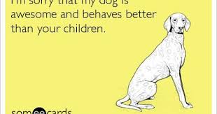 Dog Mom Meme Dog Quotes Dog Mom Crazy Dog Lady