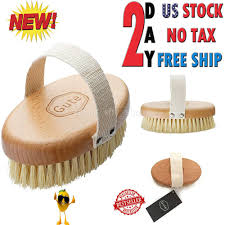 Dry brushing is my favorite method of body exfoliation because it is multitasking — it's actually incredible as a cellulite treatment and increases elasticity, says joanna vargas, celebrity facialist and founder of joanna vargas salons and skin care. Dry Skin Body Brush Vegetable Bristles Cactus Professional Brushes Firm Bristles Branded Body Brushing Dry Skin Body Dry Body Brushing