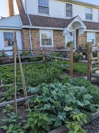 Split rail fence vegetable garden. Split Rail A Garden Fence For All Seasons Three Little Limes