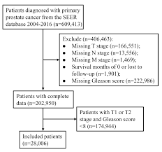 Image result for Prostate Cancer Staging