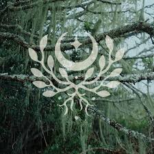 Image result for Basananthe triloba