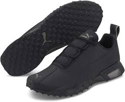 Image result for Puma 20