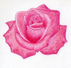 A dull pencil works best, as it continue to create variations until your rose is complete. How To Draw A Rose In Few Simple Steps