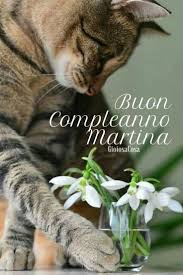Buon Compleanno Martina Auguri Da Questo Dolce Gattino Che Ti Porge Un Mazzolin Di Compleanno Gatti Auguri Di Compleanno Divertenti Buon Compleanno Divertente