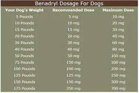 9b2c3337d2759a089687144c2e2b5a10 Jpg 403 270 Benadryl For Dogs Dosage Dog Benadryl Benadryl Dosage