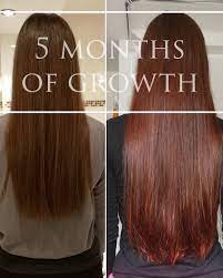 Aloe vera and henna for hair growth: On My Way To Classic Length I Dyed My Hair With Henna In July First Dye In My Entire Life Longhair