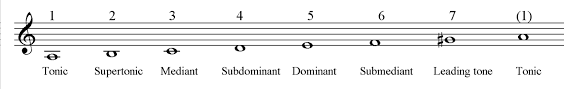 Each note of a scale has a special name called scale degree. Music Scale Degree Names