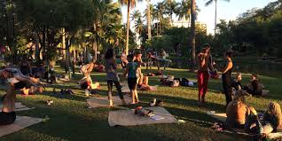 Yoga in chiang mai has a long history. Wild Rose Yoga Chiang Mai Yoga Life