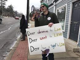 Marksmen kill 139 deer, 73 unborn deer in Essex County reservations