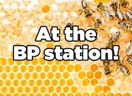 Where Do Bees Go To The Bathroom Honey Benefits Working Bee Bee Keeping