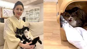 News source: Yahoo!ニュース