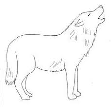 (step 11) draw a partial circle for the back of the head. Image Detail For Step By Step Drawing Page You Ll Be Creating The Wolf Drawing Above Wolf Drawing Werewolf Drawing Wolf Drawing Easy