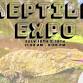 Reptile Expo at Mountain Lake Lodge