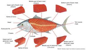Sashimi Sushi Fish Tuna Sashimi Tuna Meat
