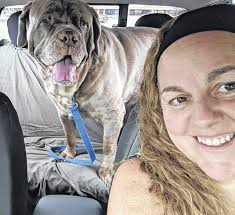 Gallery #2: More readers with their adorable dogs